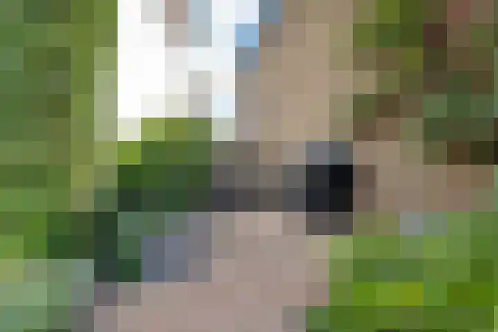 Zuidkade 93 Waddinxveen thumbnail 30