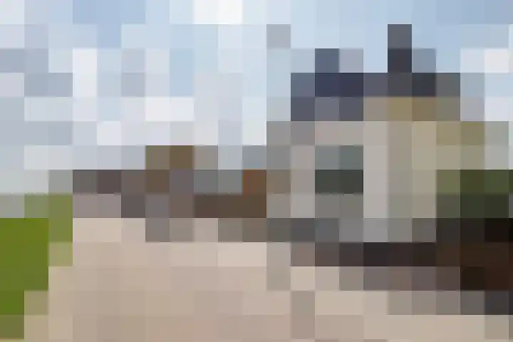 Zuidkade 93 Waddinxveen thumbnail 40