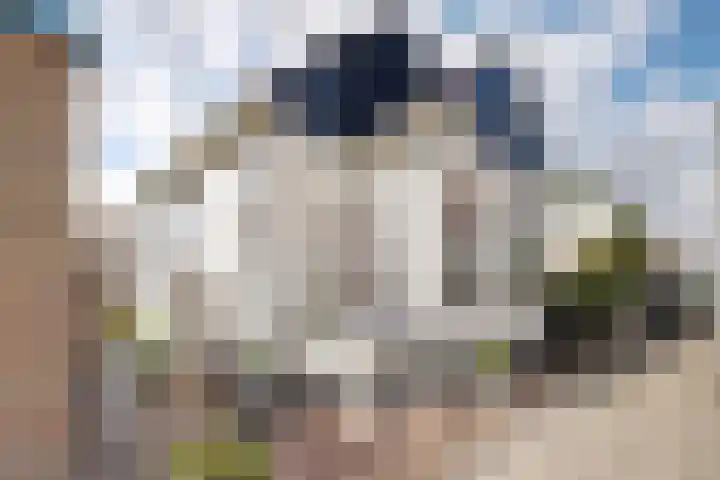 Zuidkade 93 Waddinxveen thumbnail 6