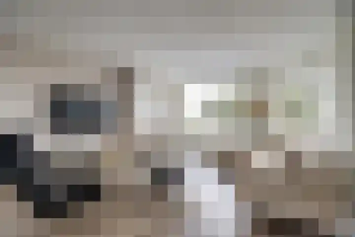 Zuidkade 93 Waddinxveen thumbnail 9