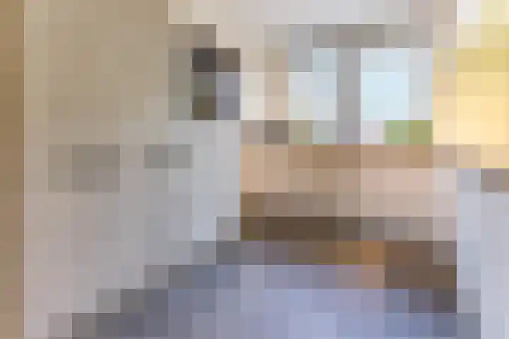Zuidkadering 7 Waddinxveen thumbnail 11