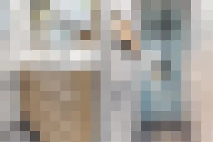 Zuidkadering 7 Waddinxveen thumbnail 26