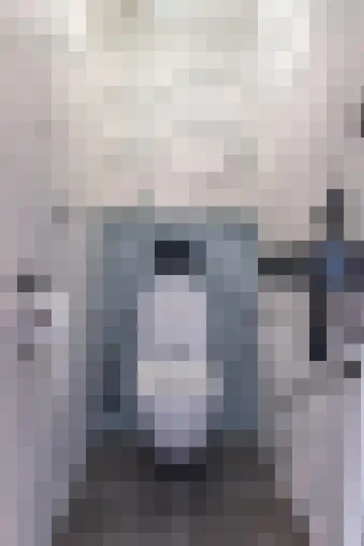 Zuidkadering 7 Waddinxveen thumbnail 27