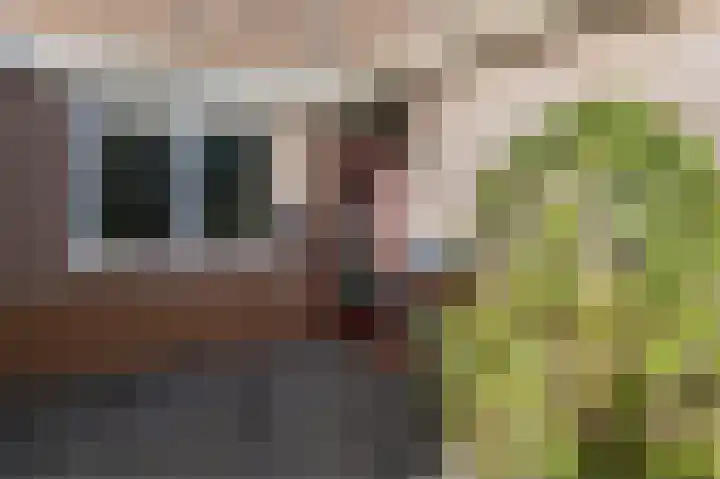 Zuidkadering 7 Waddinxveen thumbnail 5
