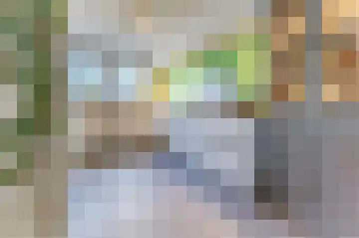 Zuidkadering 7 Waddinxveen thumbnail 9