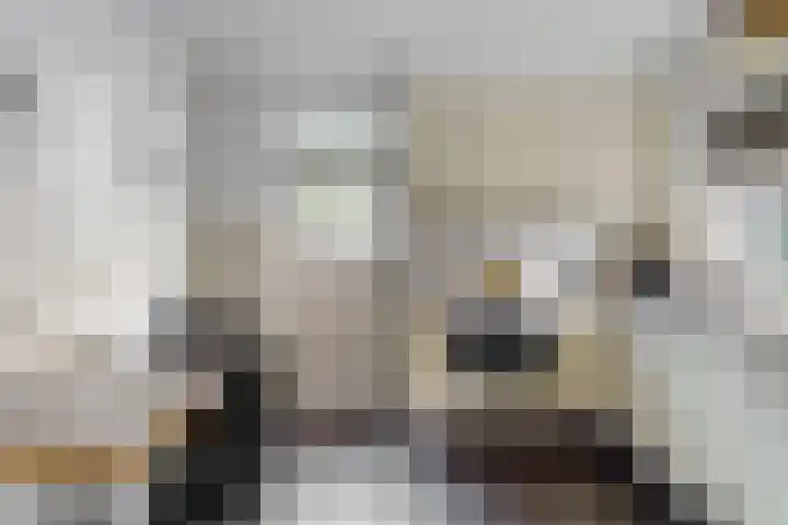 Zuidkerkenlaan 11 a Limmen thumbnail 11