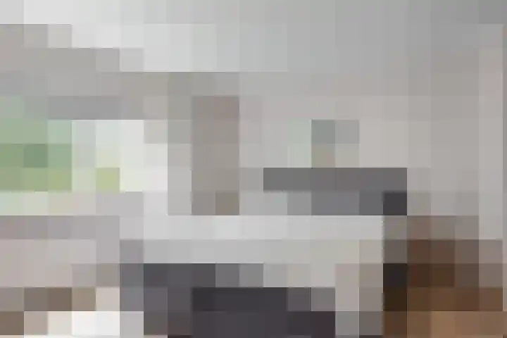 Zuidkerkenlaan 11 a Limmen thumbnail 18