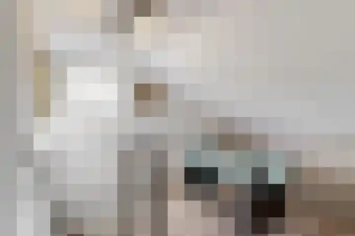 Zuidkerkenlaan 11 a Limmen thumbnail 30