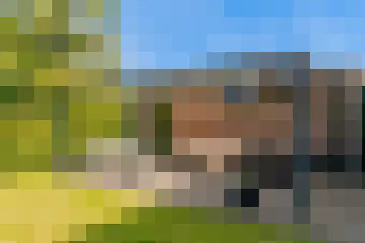 Zuidkerkenlaan 11 a Limmen thumbnail 34