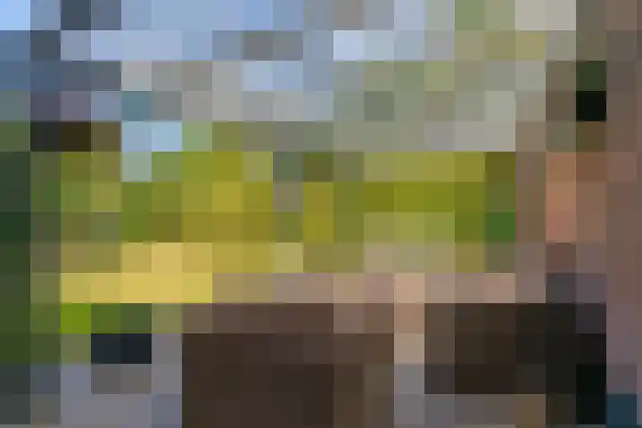 Zuidkerkenlaan 11 a Limmen thumbnail 35
