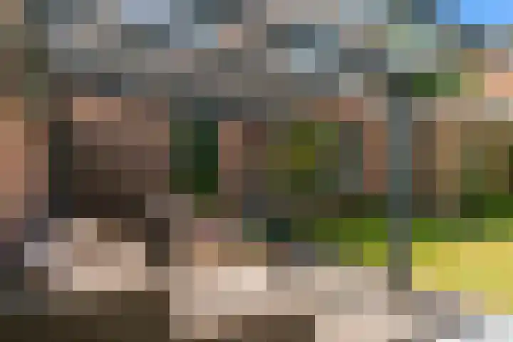 Zuidkerkenlaan 11 a Limmen thumbnail 36