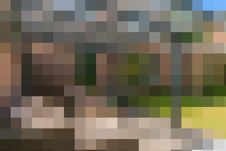 Zuidkerkenlaan 11 a Limmen thumbnail 37