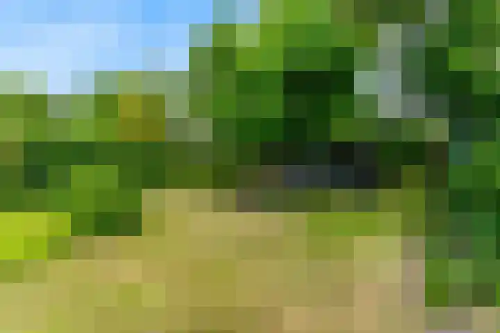 Zuidkerkenlaan 11 a Limmen thumbnail 42