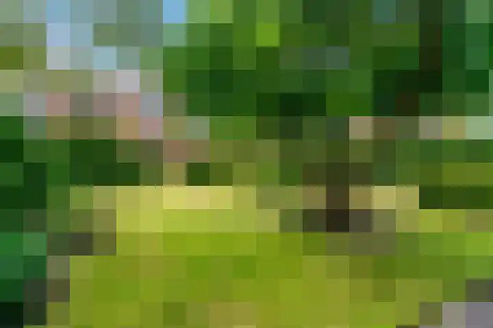 Zuidkerkenlaan 11 a Limmen thumbnail 43
