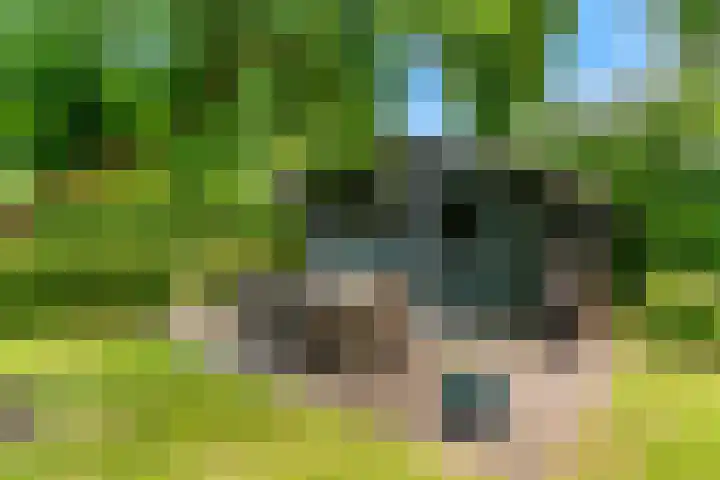Zuidkerkenlaan 11 a Limmen thumbnail 44