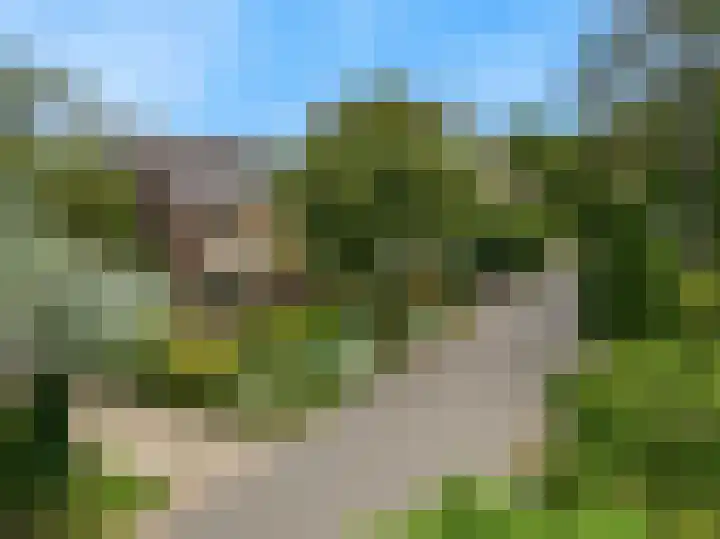 Zuidkerkenlaan 11 a Limmen thumbnail 45
