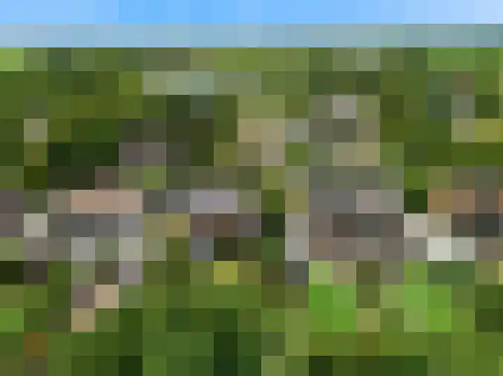 Zuidkerkenlaan 11 a Limmen thumbnail 48