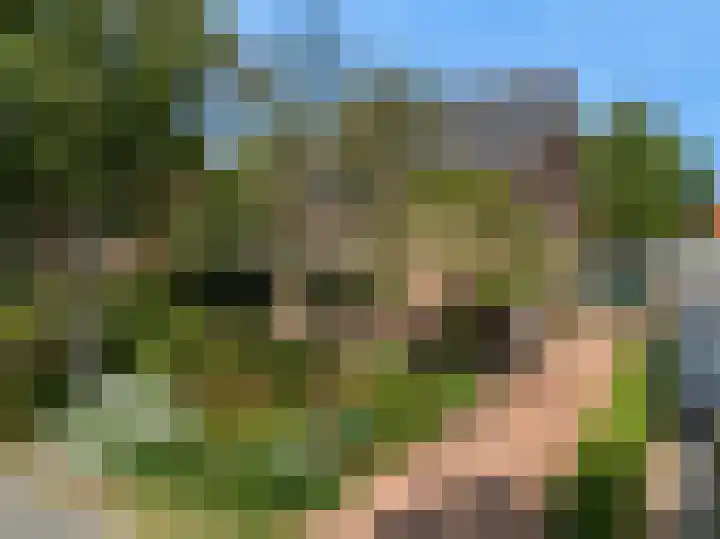 Zuidkerkenlaan 11 a Limmen thumbnail 55