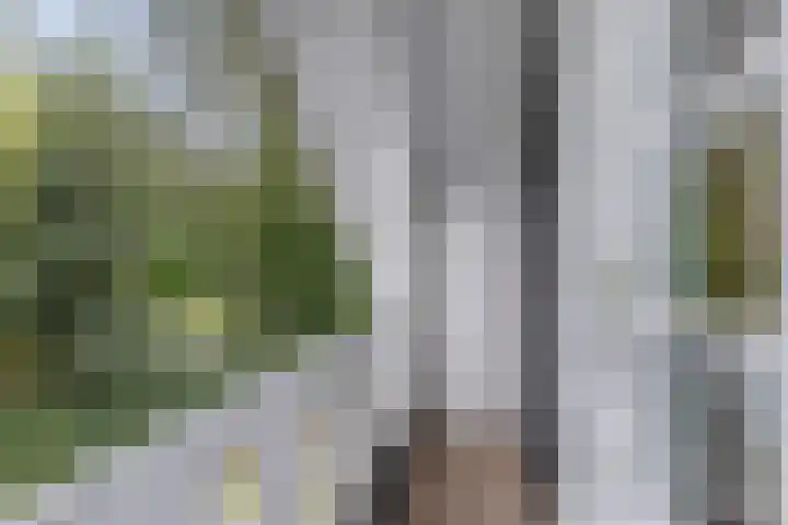 Zuidlaan 14 Bergen (NH) thumbnail 32