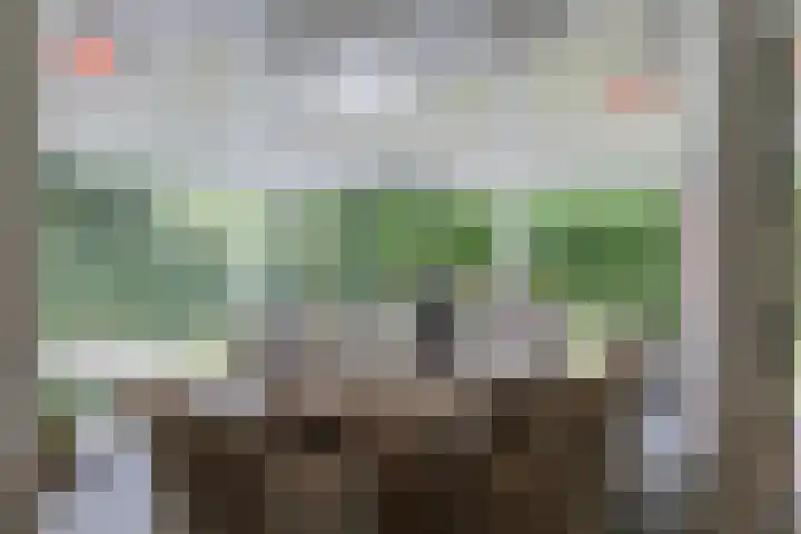 Zuidlaan 14 Bergen (NH) thumbnail 34