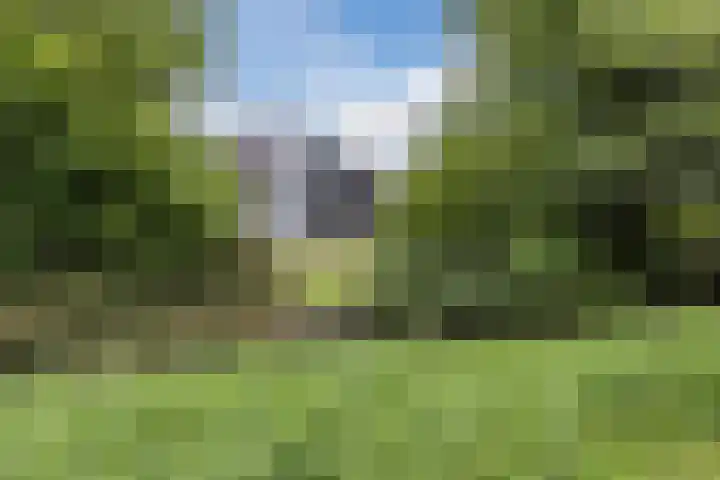 Zuidlaan 14 Bergen (NH) thumbnail 35