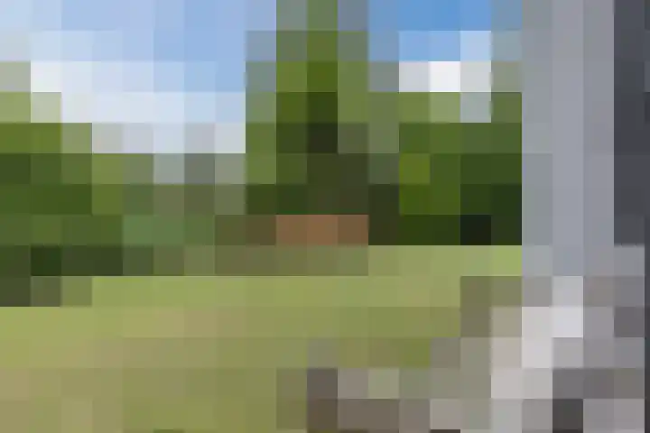 Zuidlaan 14 Bergen (NH) thumbnail 36