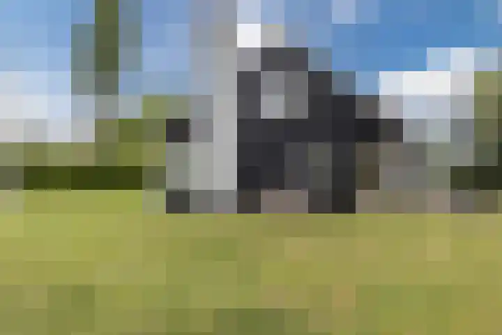 Zuidlaan 14 Bergen (NH) thumbnail 39