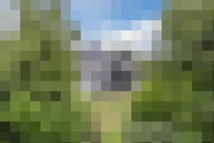 Zuidlaan 14 Bergen (NH) thumbnail 4