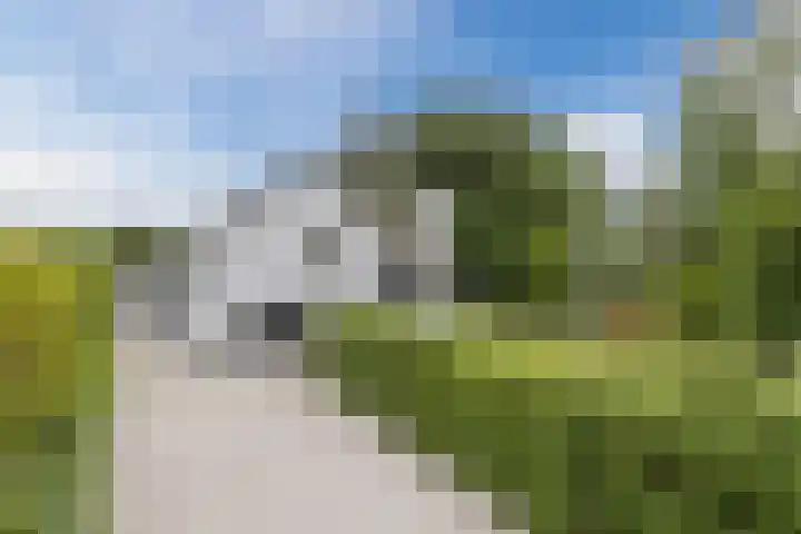Zuidlaan 14 Bergen (NH) thumbnail 5