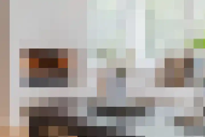 Zuidlaan 14 Bergen (NH) thumbnail 9