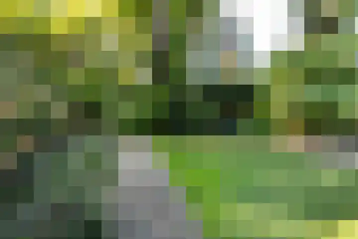Zuidlaan 16 Aerdenhout thumbnail 10