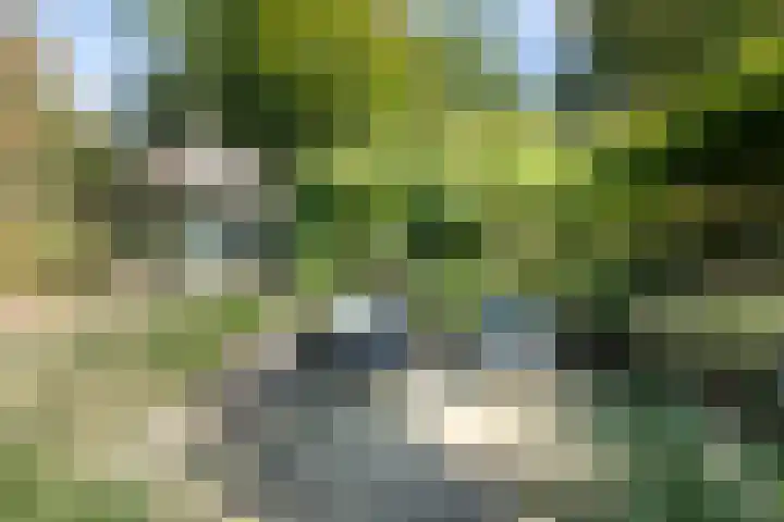Zuidlaan 16 Aerdenhout thumbnail 12