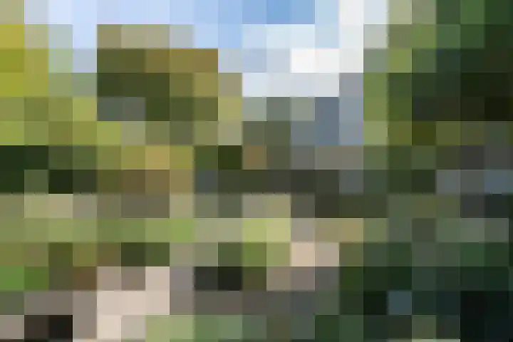 Zuidlaan 16 Aerdenhout thumbnail 13