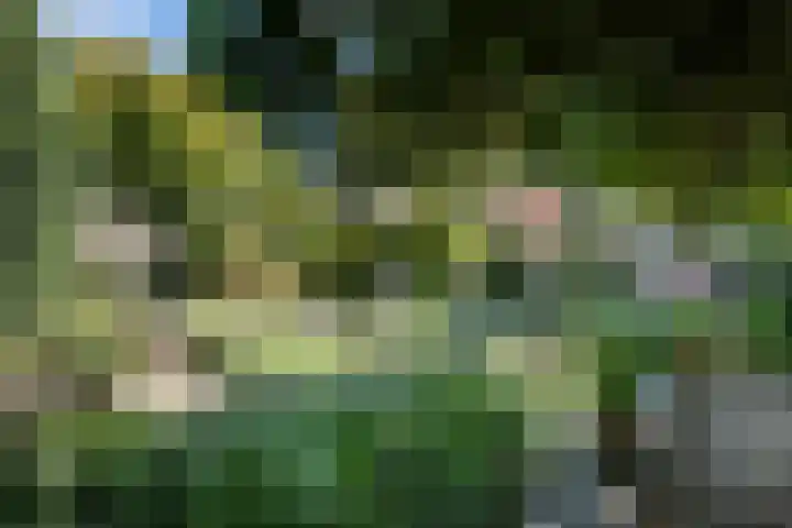 Zuidlaan 16 Aerdenhout thumbnail 15