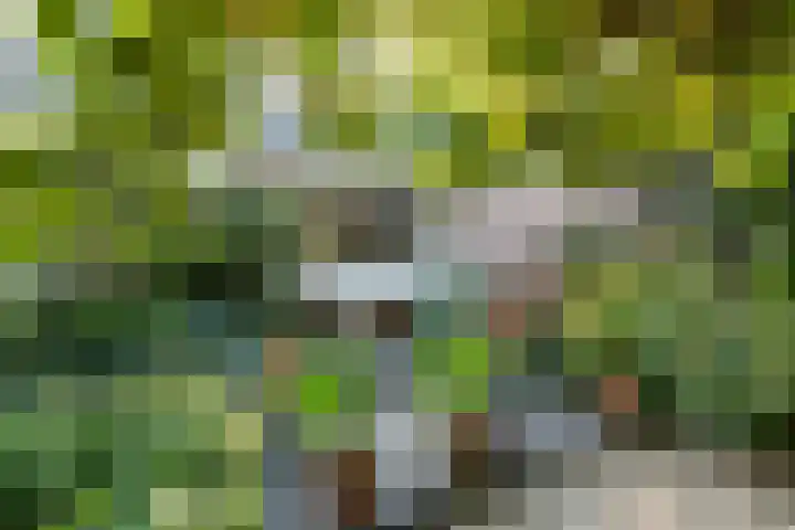 Zuidlaan 16 Aerdenhout thumbnail 16
