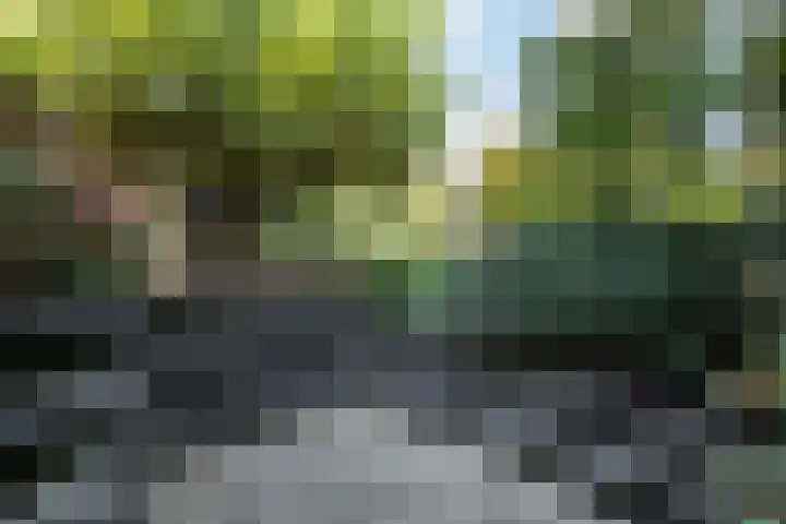 Zuidlaan 16 Aerdenhout thumbnail 17