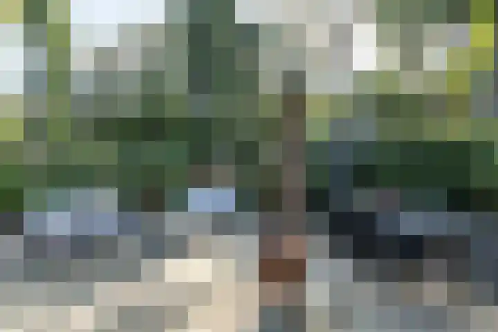 Zuidlaan 16 Aerdenhout thumbnail 24
