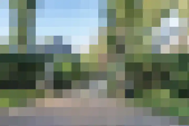 Zuidlaan 16 Aerdenhout thumbnail 5