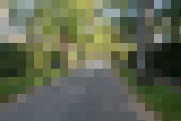 Zuidlaan 16 Aerdenhout thumbnail 65