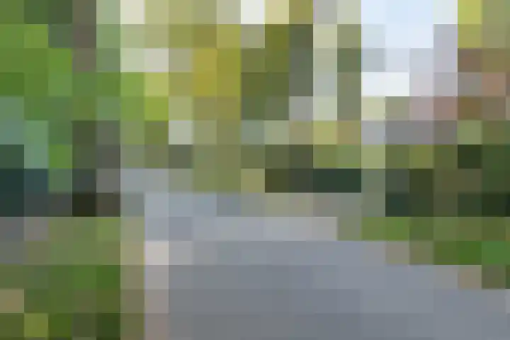 Zuidlaan 16 Aerdenhout thumbnail 66