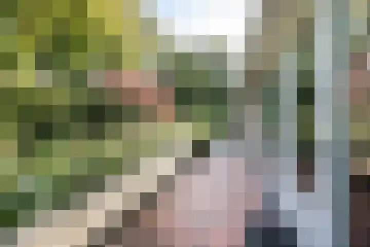 Zuidlaan 16 Aerdenhout thumbnail 9