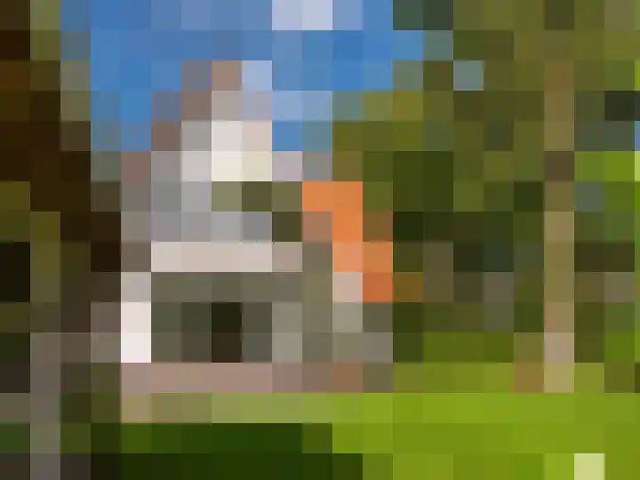 Zuidlaan 21 Bergen (NH) thumbnail 36