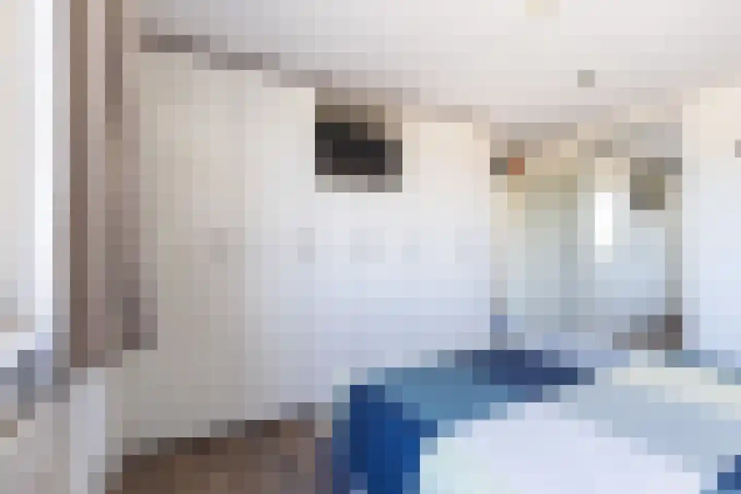 Zuidlaan 27 Prinsenbeek thumbnail 25