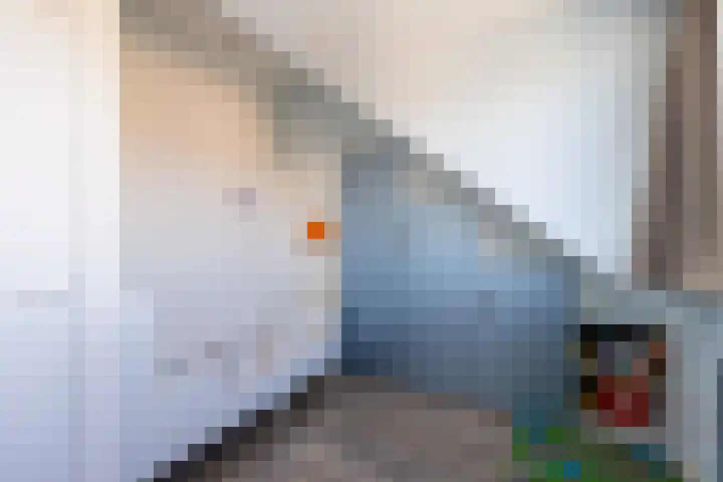 Zuidlaan 27 Prinsenbeek thumbnail 35