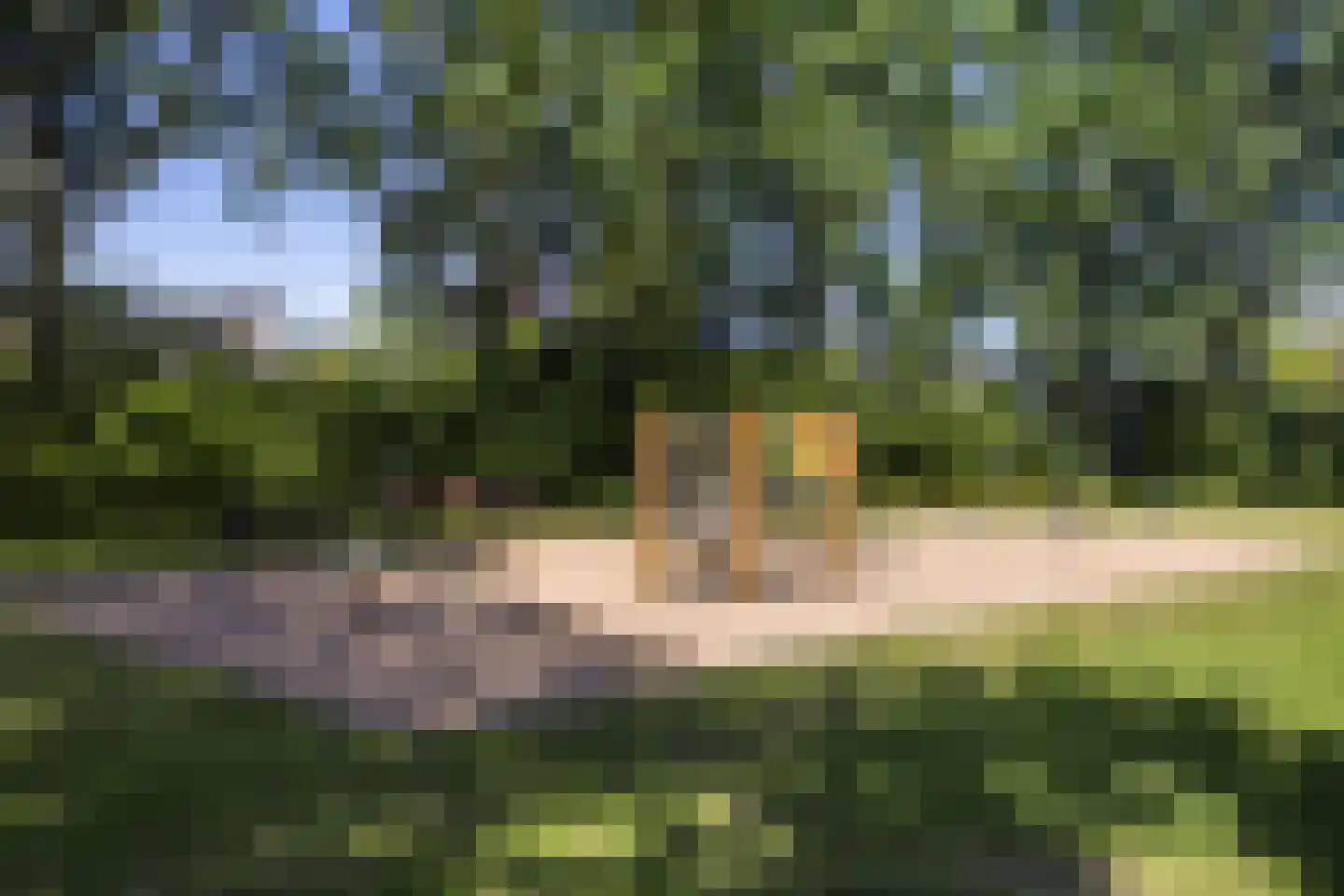 Zuidlaan 27 Prinsenbeek thumbnail 48