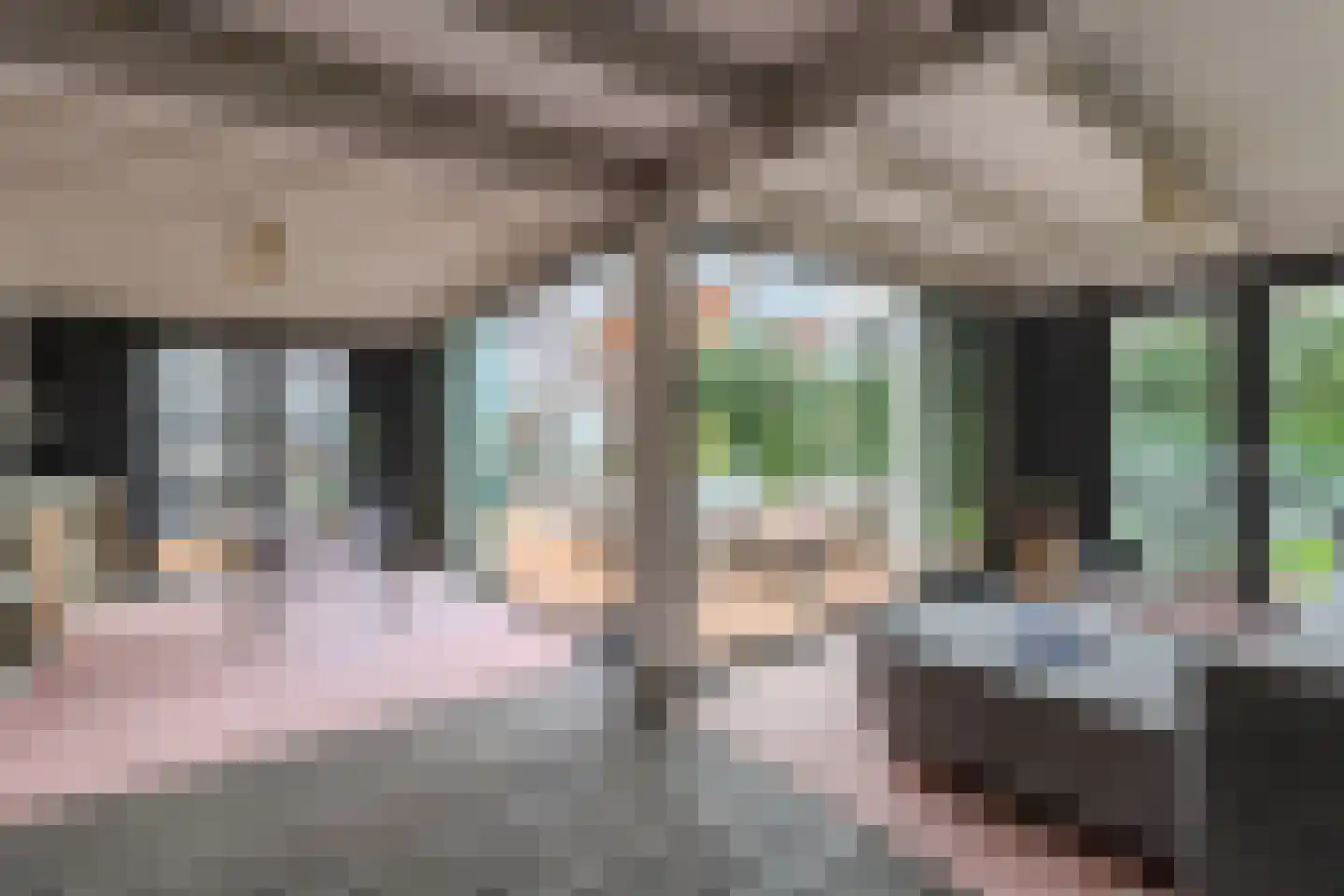 Zuidlaan 37 Bergen (NH) thumbnail 33