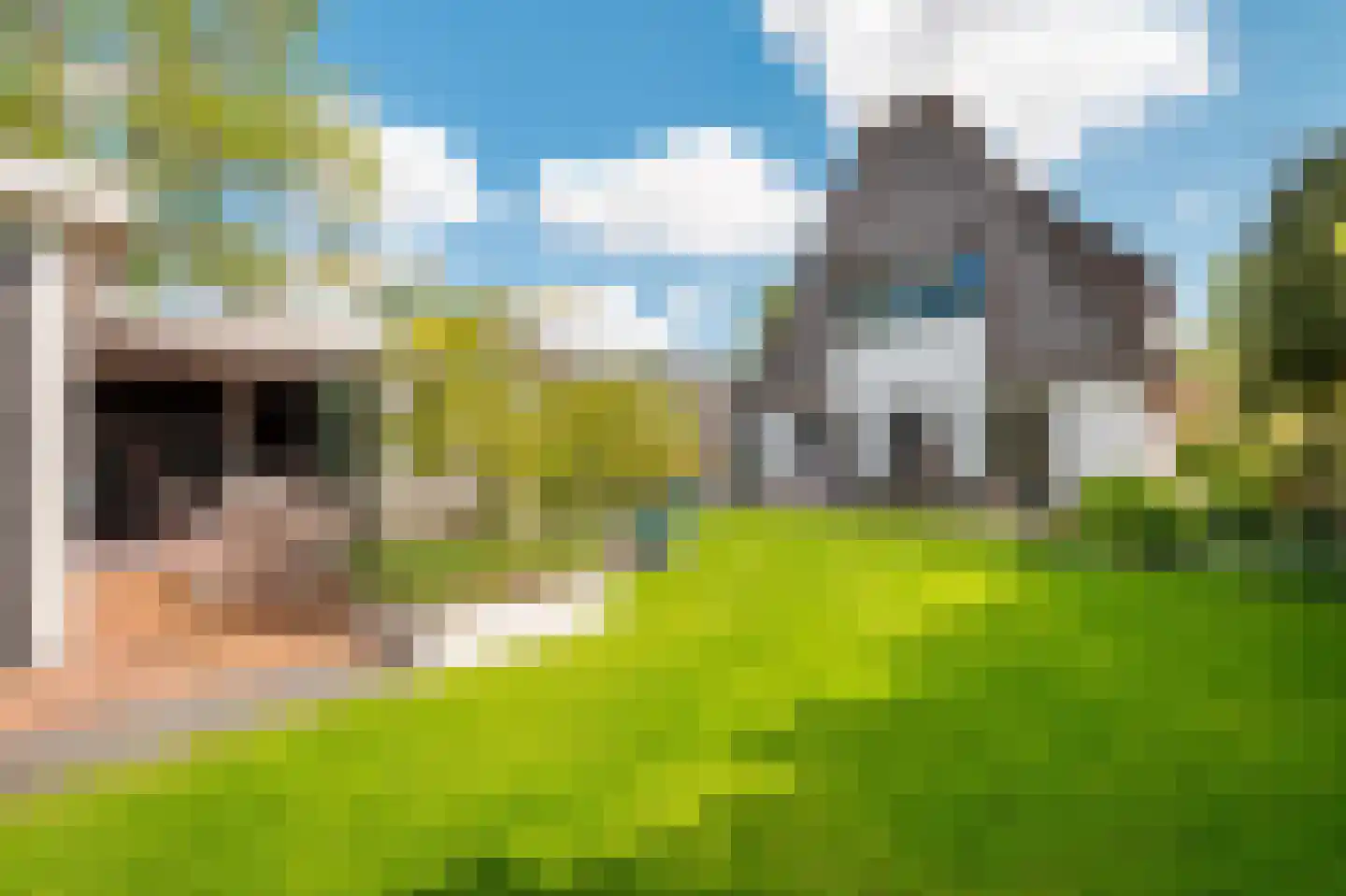 Zuidlaan 37 Bergen (NH) thumbnail 39