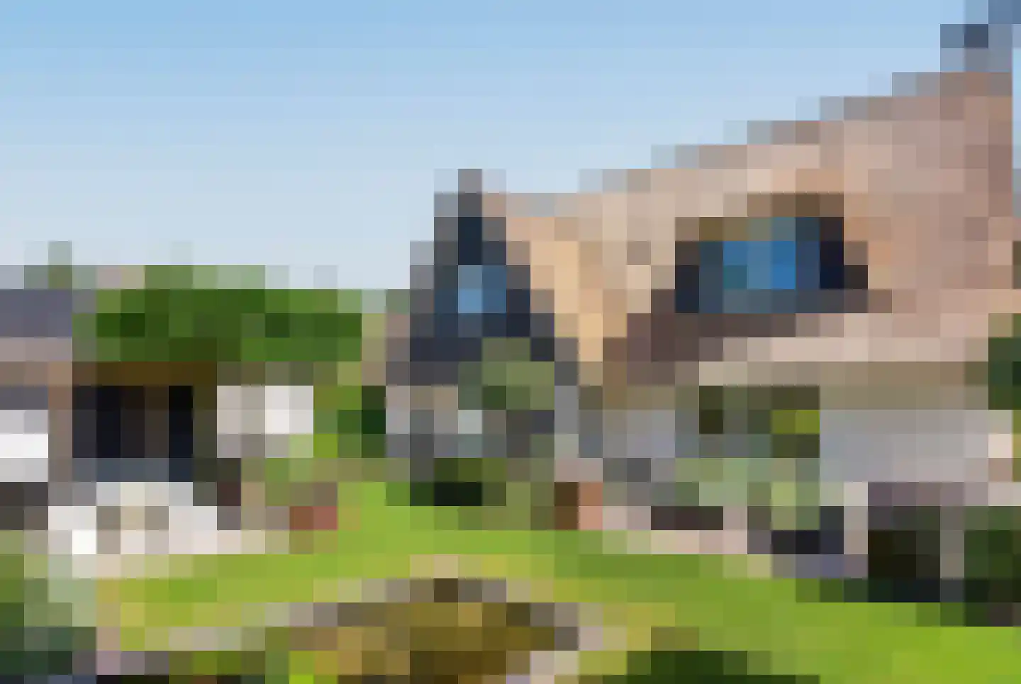 Zuidlaan 49 Bergen (NH) thumbnail 34