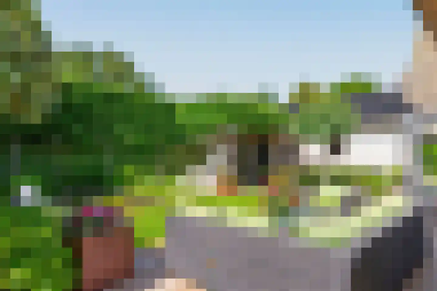 Zuidlaan 49 Bergen (NH) thumbnail 38