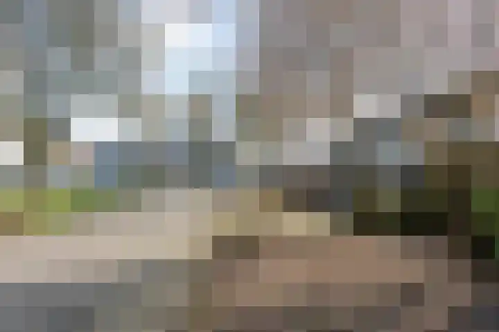 Zuidlaarderbrink 140 Emmen thumbnail 34